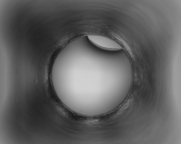 X0000087710257200705111426
