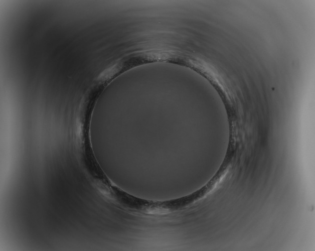 X0000087710258200705111426