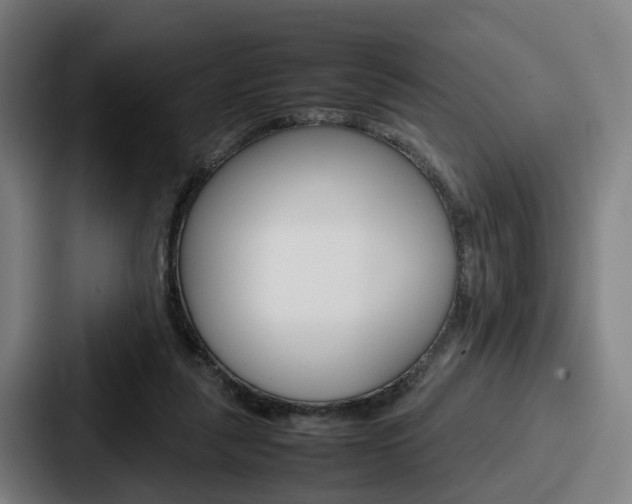 X0000087710259200705111426