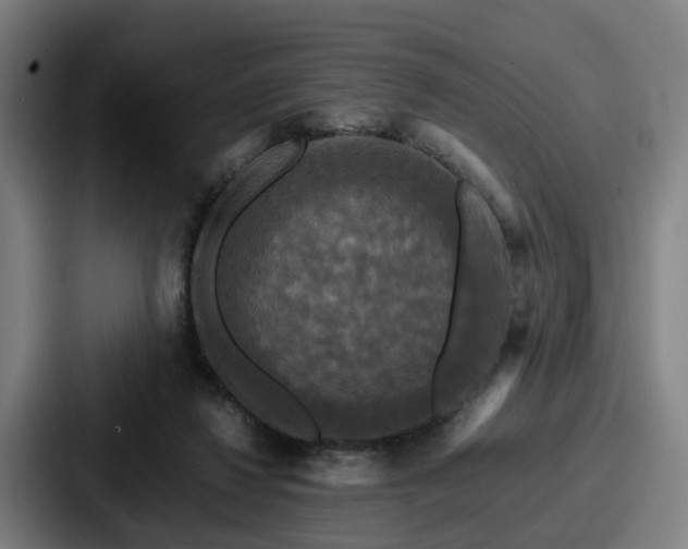 X0000087710260200705111426