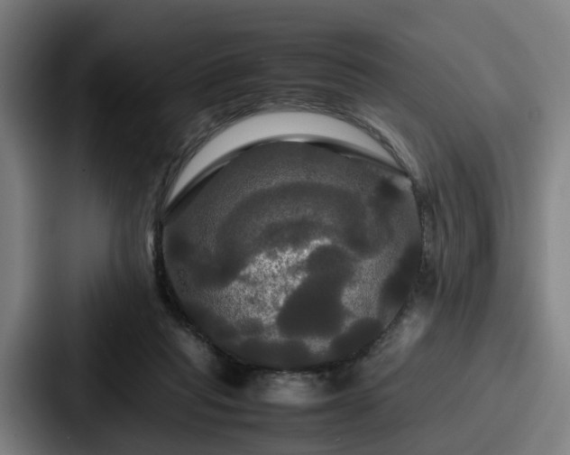 X0000087710261200705111426