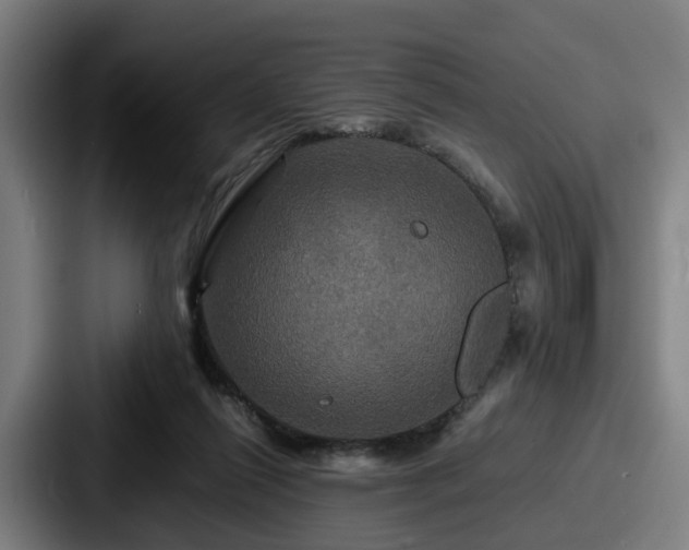 X0000087710262200705111426