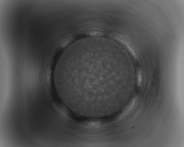 X0000087710263200705111426