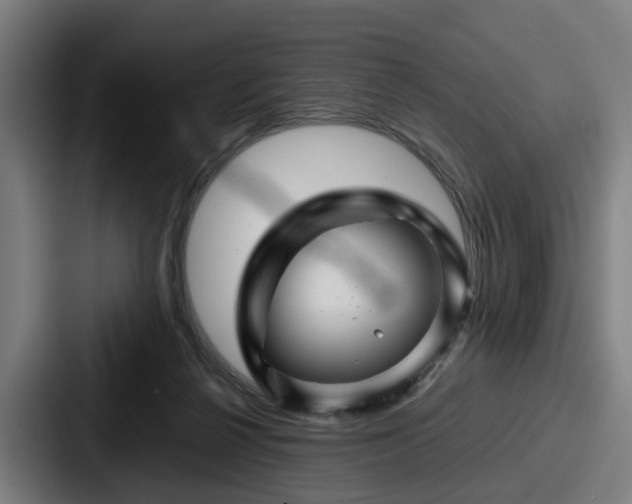 X0000087710264200705111426
