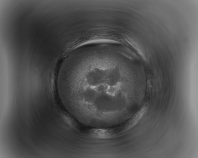 X0000087710265200705111426