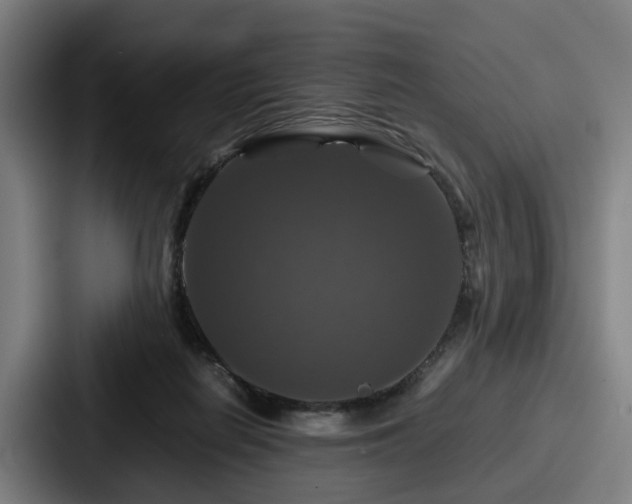 X0000087710266200705111426