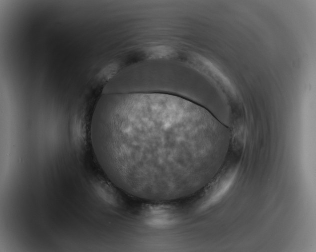 X0000087710268200705111426