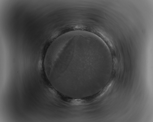 X0000087710269200705111426