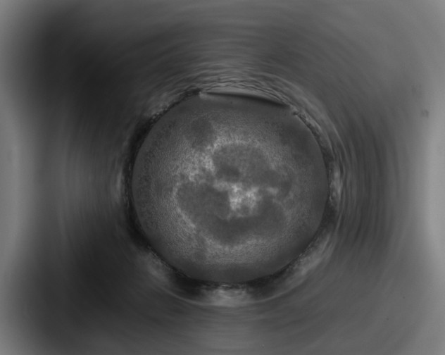 X0000087710270200705111426