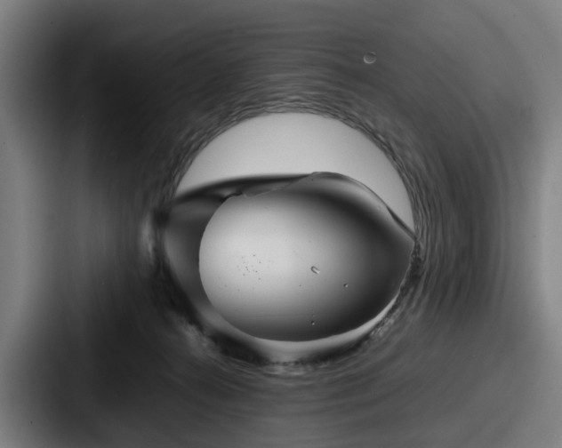 X0000087710272200705111426