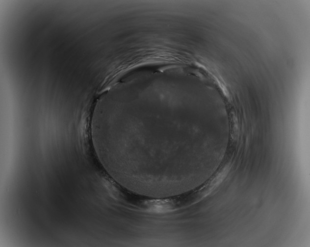 X0000087710273200705111426