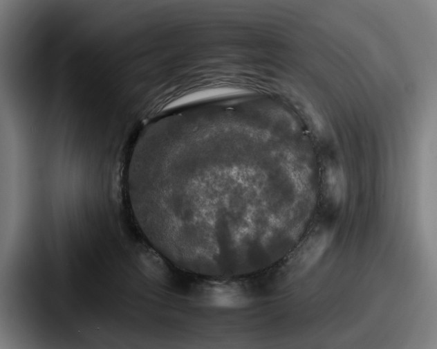 X0000087710275200705111426