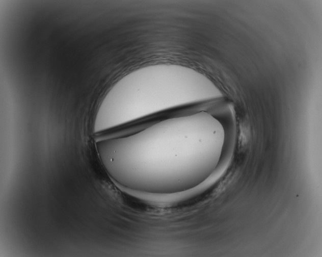 X0000087710276200705111426