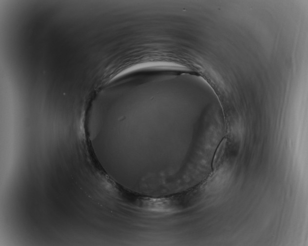 X0000087710277200705111427