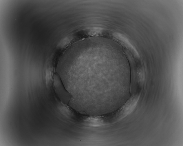 X0000087710280200705111427