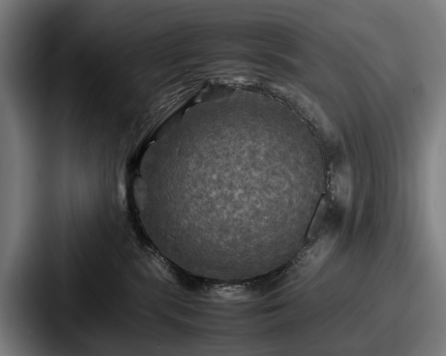 X0000087710283200705111427