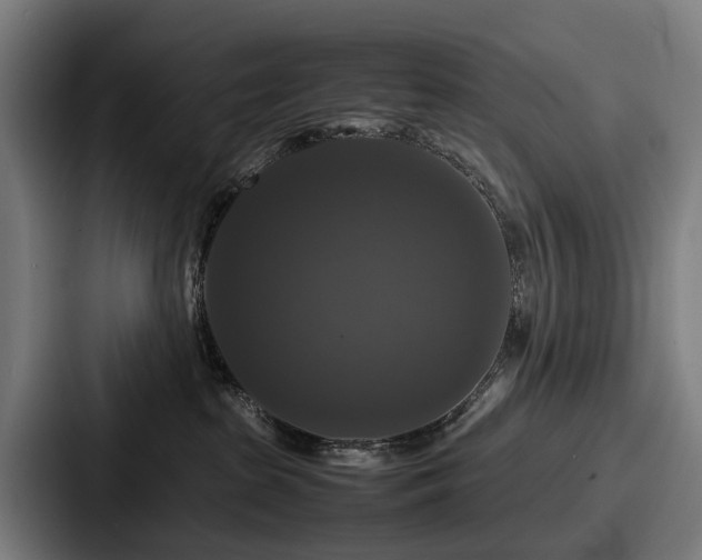 X0000087710285200705111427