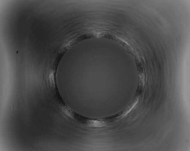 X0000087710286200705111427