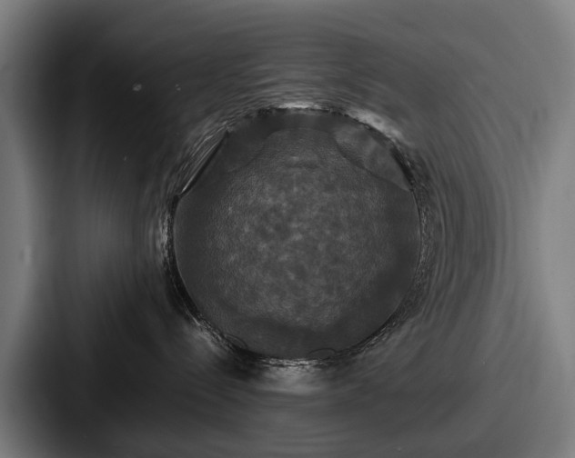 X0000087710288200705111427