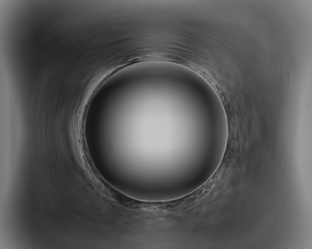 X0000087710289200705111426