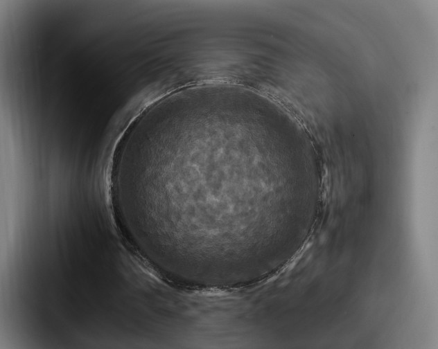 X0000087710290200705111426