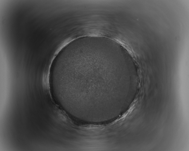 X0000087710292200705111426