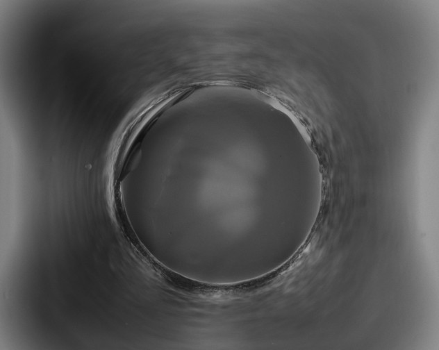 X0000087710293200705111426