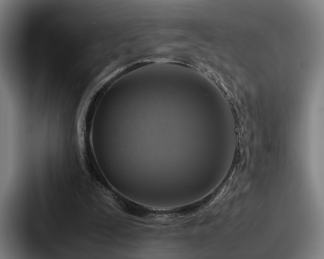 X0000087710295200705111426
