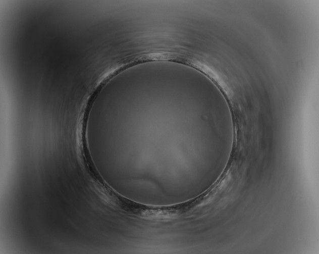 X0000087710297200705111426