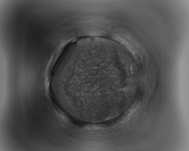 X0000087710299200705111426