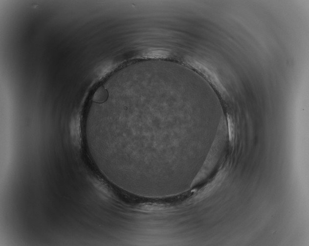 X0000087710300200705111426