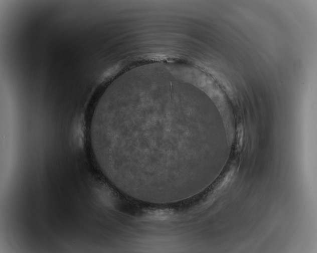 X0000087710304200705111426