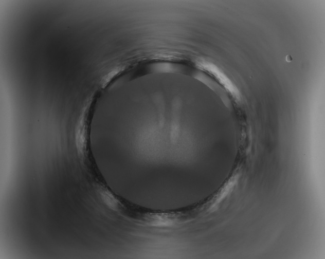 X0000087710305200705111426