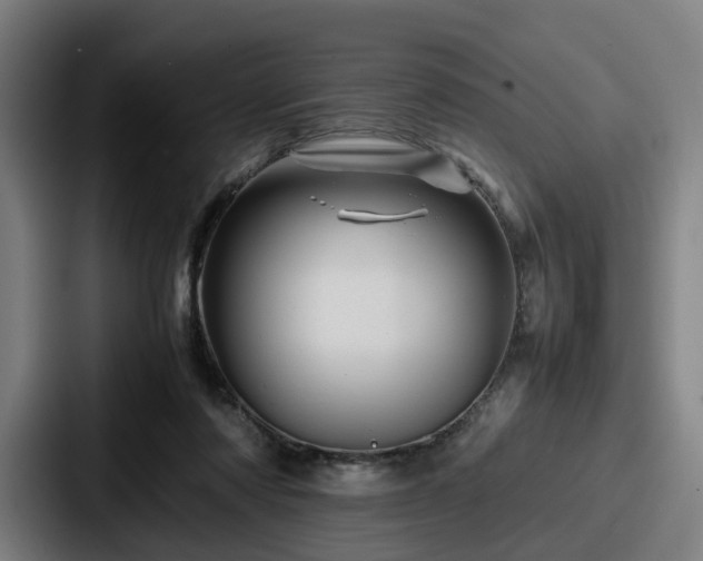X0000087710310200705111426