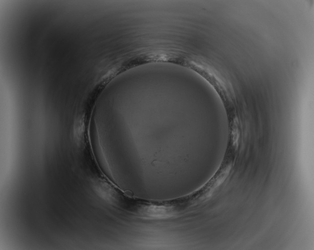 X0000087710314200705111426