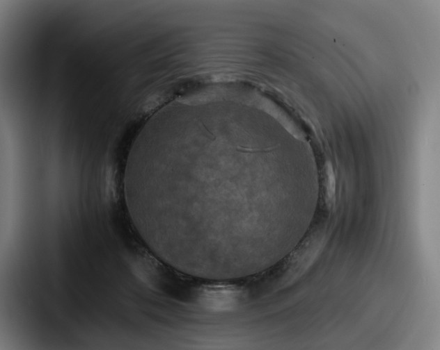 X0000087710316200705111426