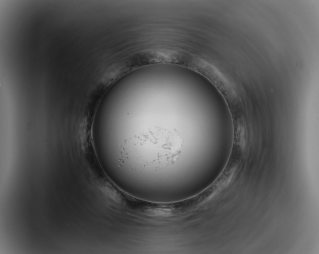 X0000087710318200705111426