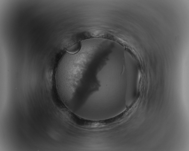 X0000087710319200705111426