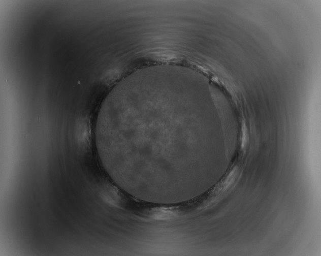 X0000087710320200705111426