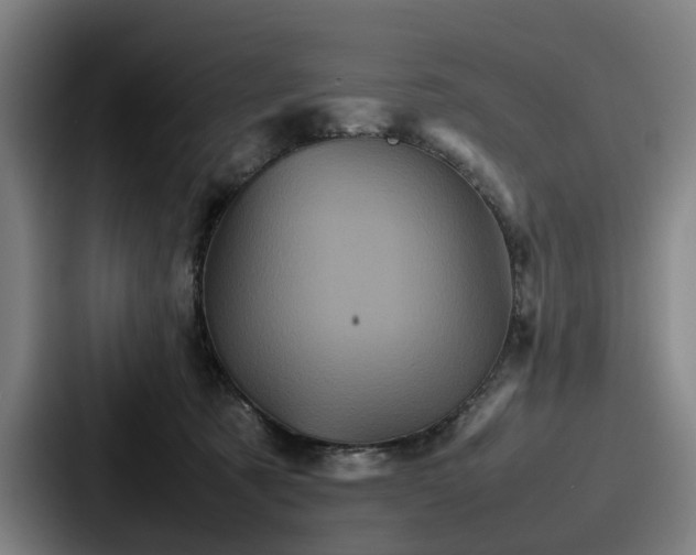 X0000087710321200705111426