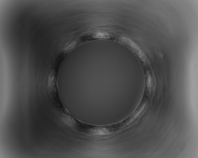 X0000087710322200705111426