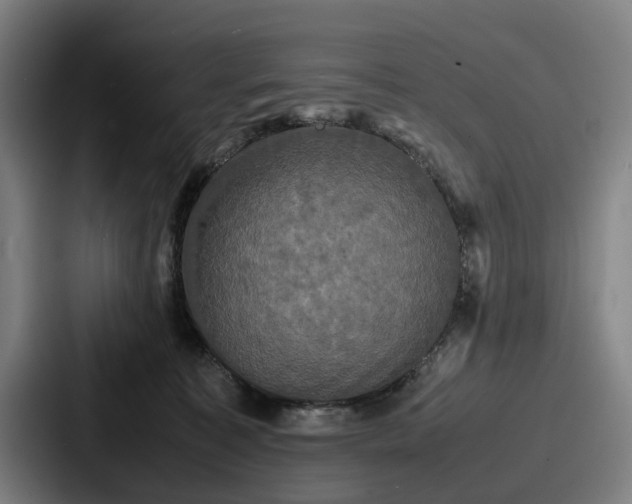 X0000087710323200705111426