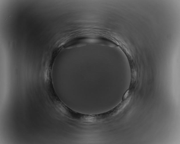 X0000087710325200705111426