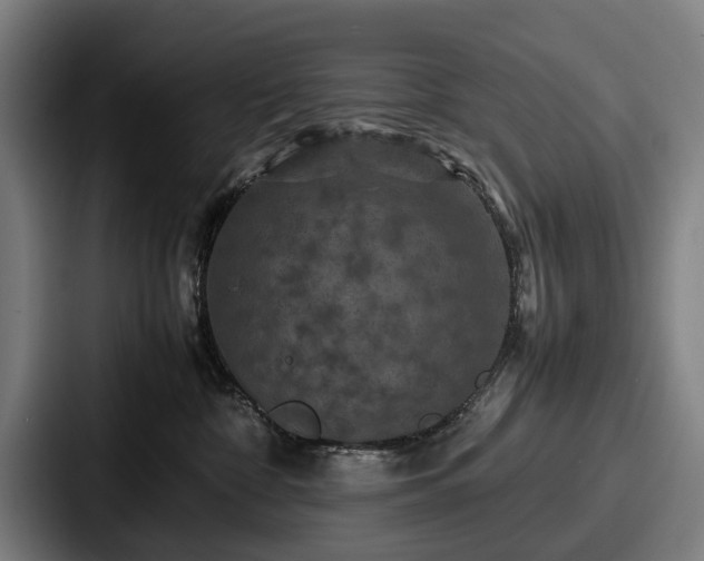 X0000087710332200705111426
