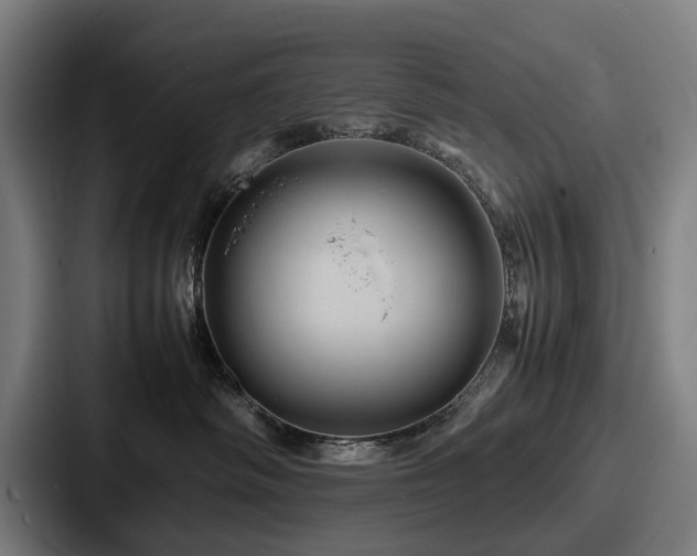 X0000087710334200705111426