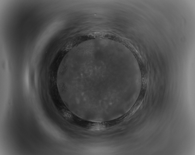 X0000087710335200705111426