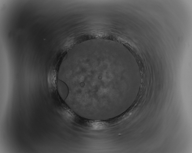 X0000087710336200705111426