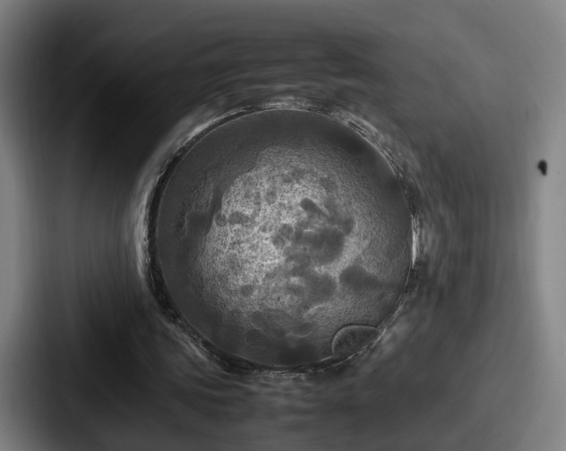 X0000087710339200705111425