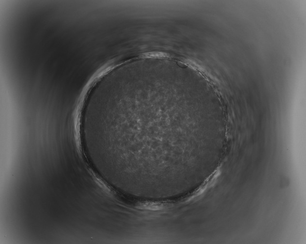 X0000087710341200705111425