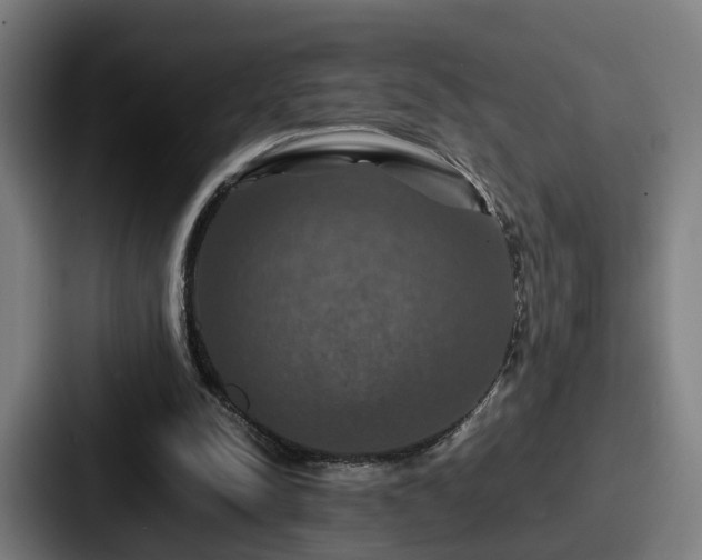 X0000087710342200705111425